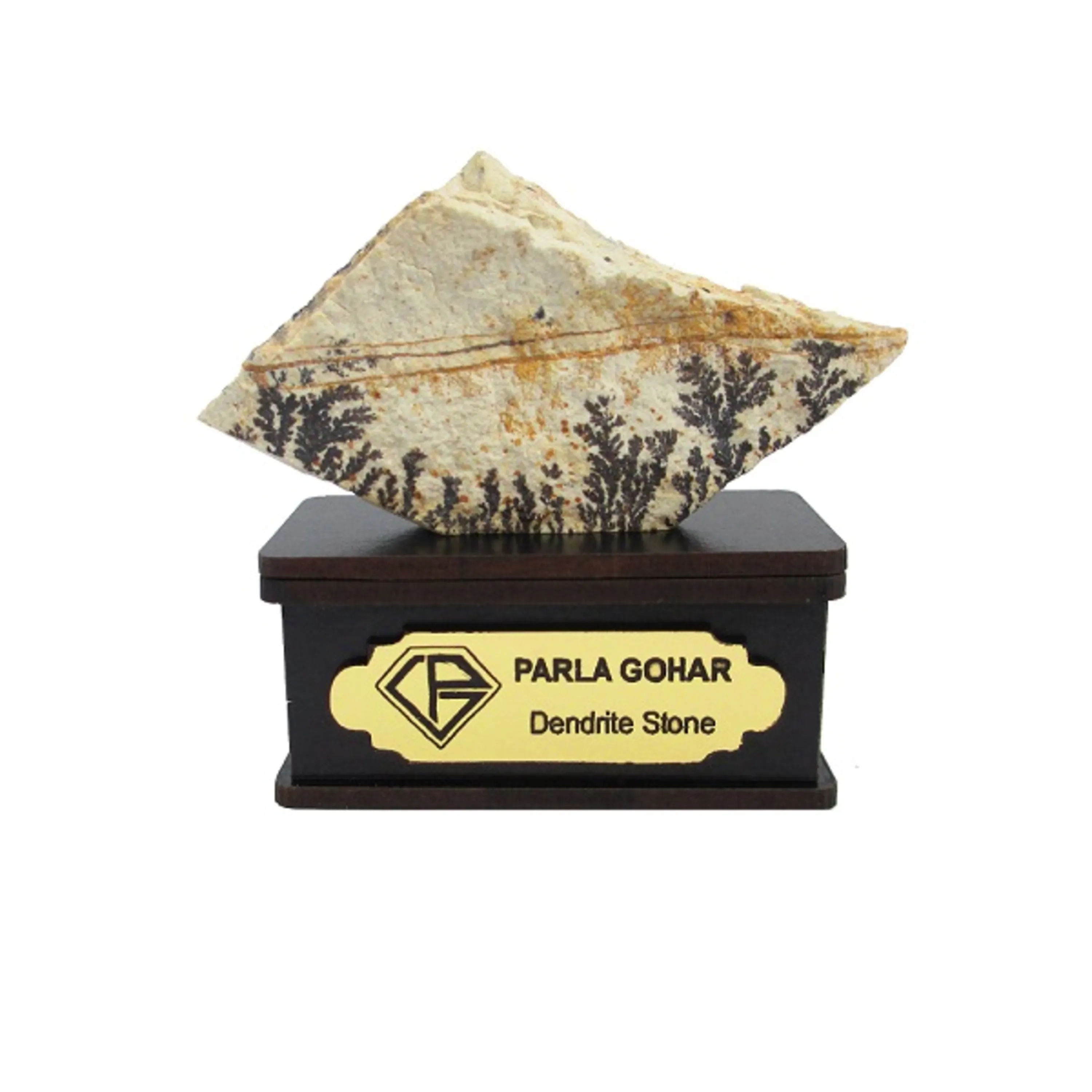 شجر راف کد 2334